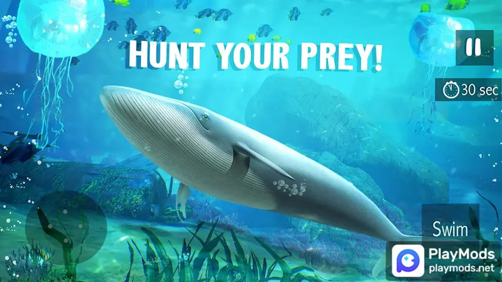 Blue Whale Simulator - Game<span>(Unlimited Resources)</span> screenshot image 4_Popularmodapk.com