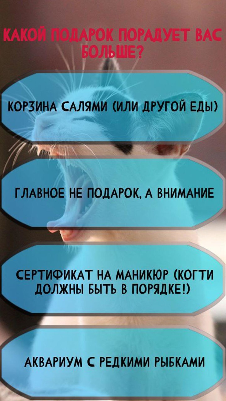 Какой ты котик screenshot image 4_Popularmodapk.com