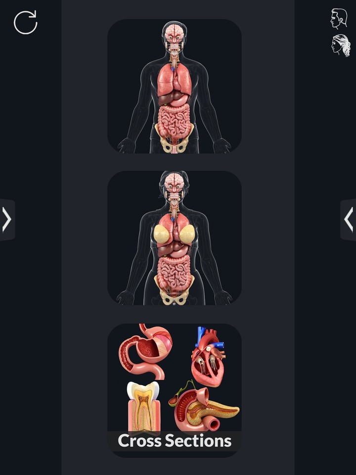 Organs Anatomy Pro. screenshot image 10_Popularmodapk.com