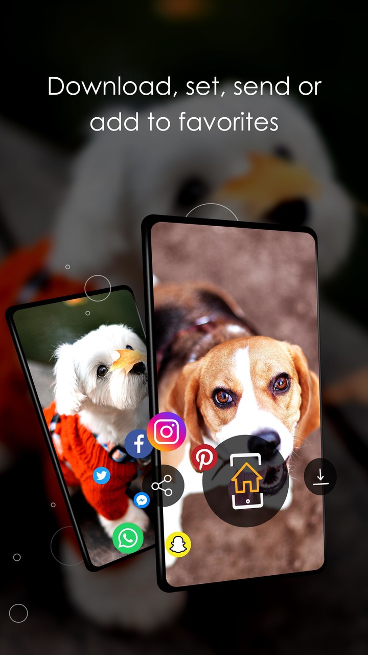 Wallpapers 4K with dogs screenshot image 3_Popularmodapk.com