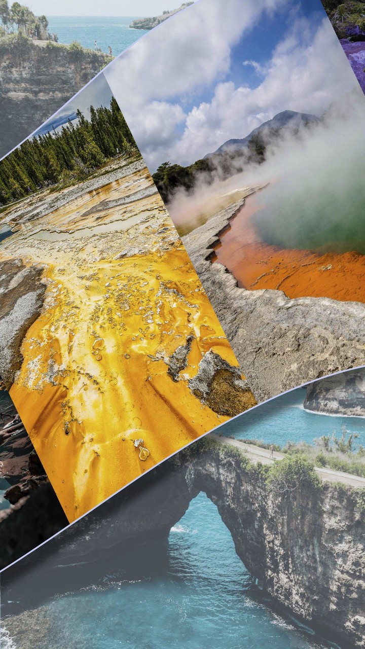 Wordsify Search Nature Puzzles screenshot image 2_Popularmodapk.com