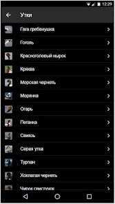 DiMPlE screenshot image 3_Popularmodapk.com