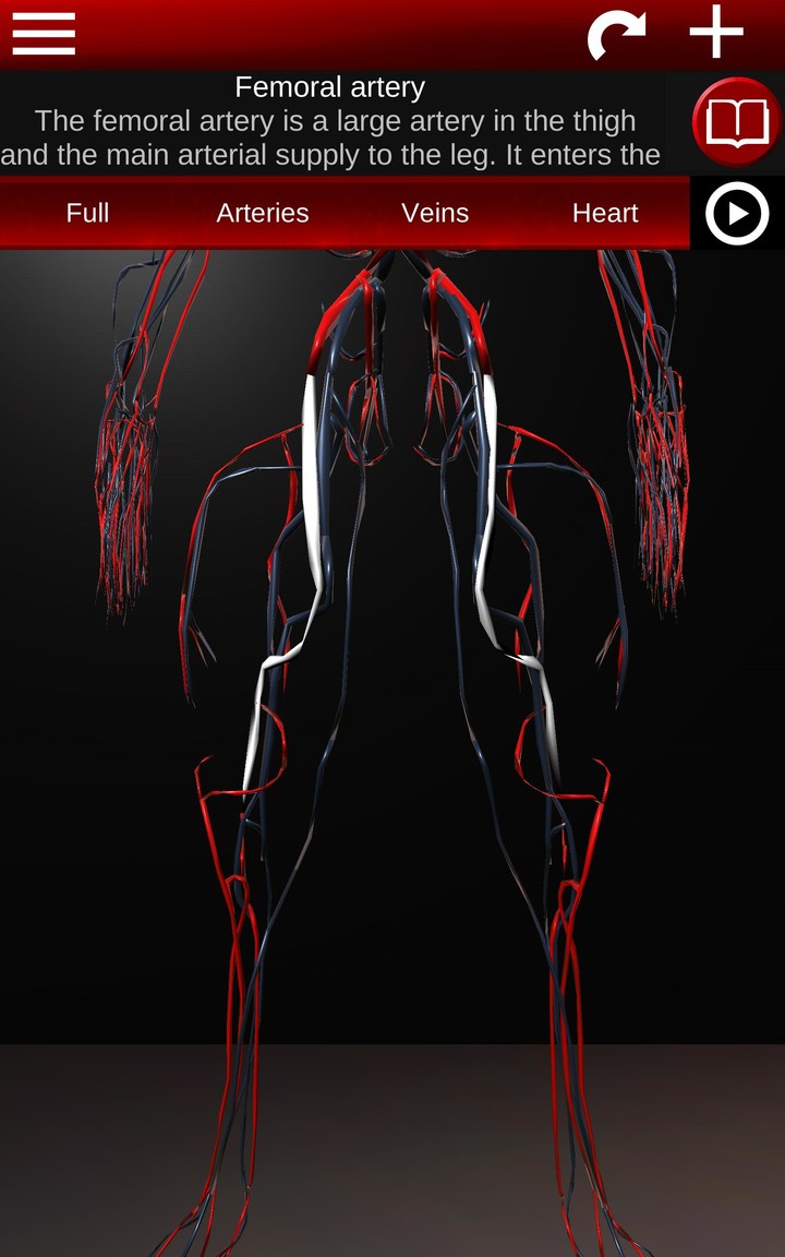 Circulatory System 3D Anatomy screenshot image 22_Popularmodapk.com