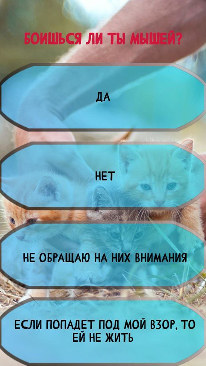 Какой ты котик screenshot image 1_Popularmodapk.com