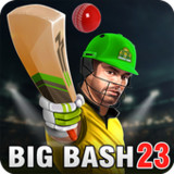 Aussie Cricket Championship2.4_Popularmodapk.com
