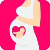 Pregnancy Calculator, Calendar24.5.02_Popularmodapk.com