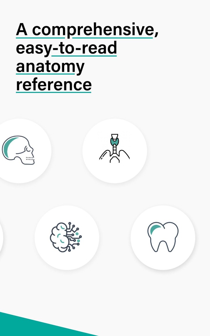 Teach Me Anatomy screenshot image 11_Popularmodapk.com