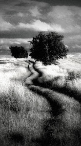 History of Liberia screenshot image 2_Popularmodapk.com