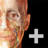 Human Anatomy Atlas 2022＋1.01.014_Popularmodapk.com
