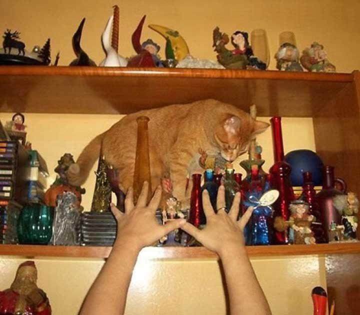 Tic Tac Toe Cross Out screenshot image 6_Popularmodapk.com