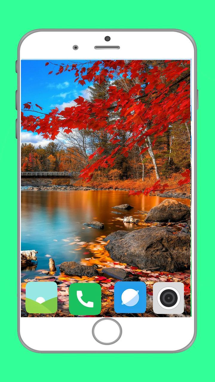 Beautiful Place Full HD Wallpaper screenshot image 6_Popularmodapk.com