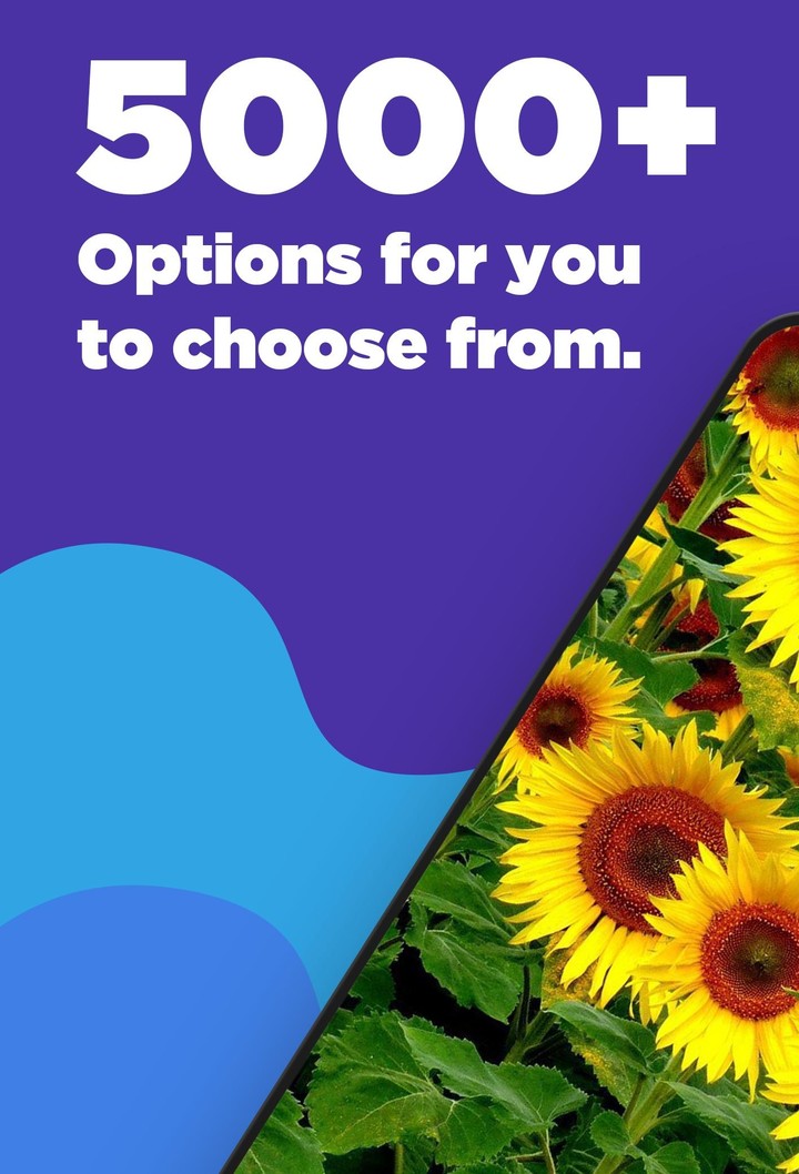 Sunflower Wallpaper screenshot image 2_Popularmodapk.com