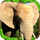 Elephant Simulator<span>(Unlimited money)</span>1.2_Popularmodapk.com