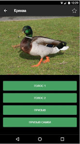 DiMPlE screenshot image 1_Popularmodapk.com