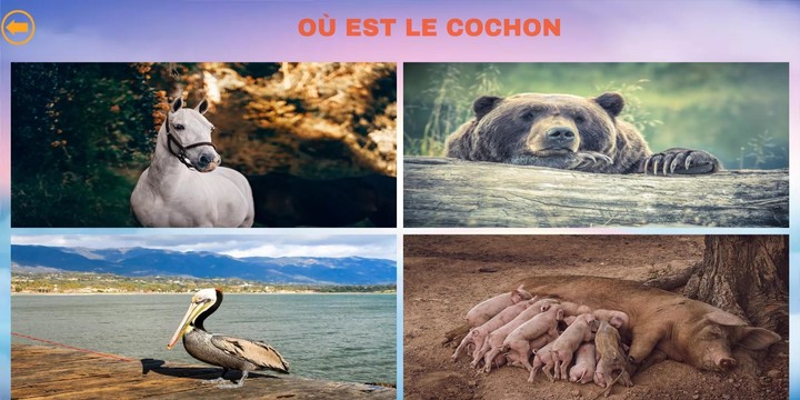 Play with Animals Free screenshot image 10_Popularmodapk.com