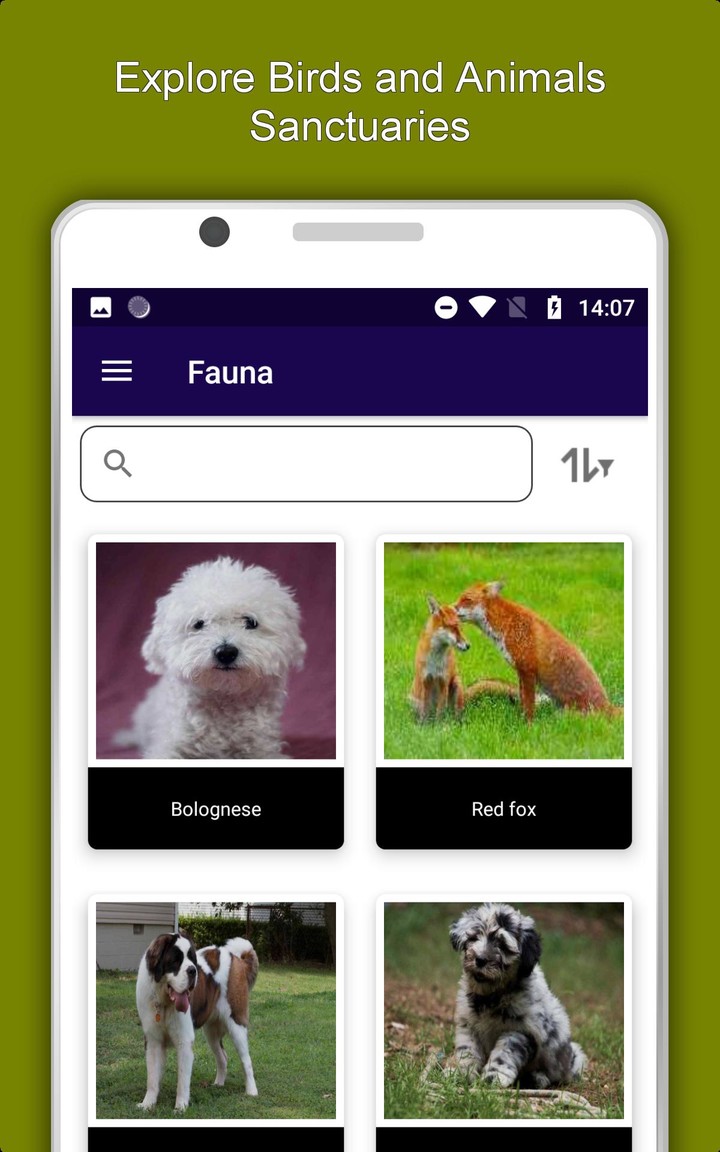 OS15 Camera - iCamera & Ultra Camera for iPhone 13 screenshot image 21_Popularmodapk.com