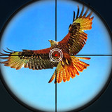 Birds Hunting Sniper Shooting1.0_Popularmodapk.com