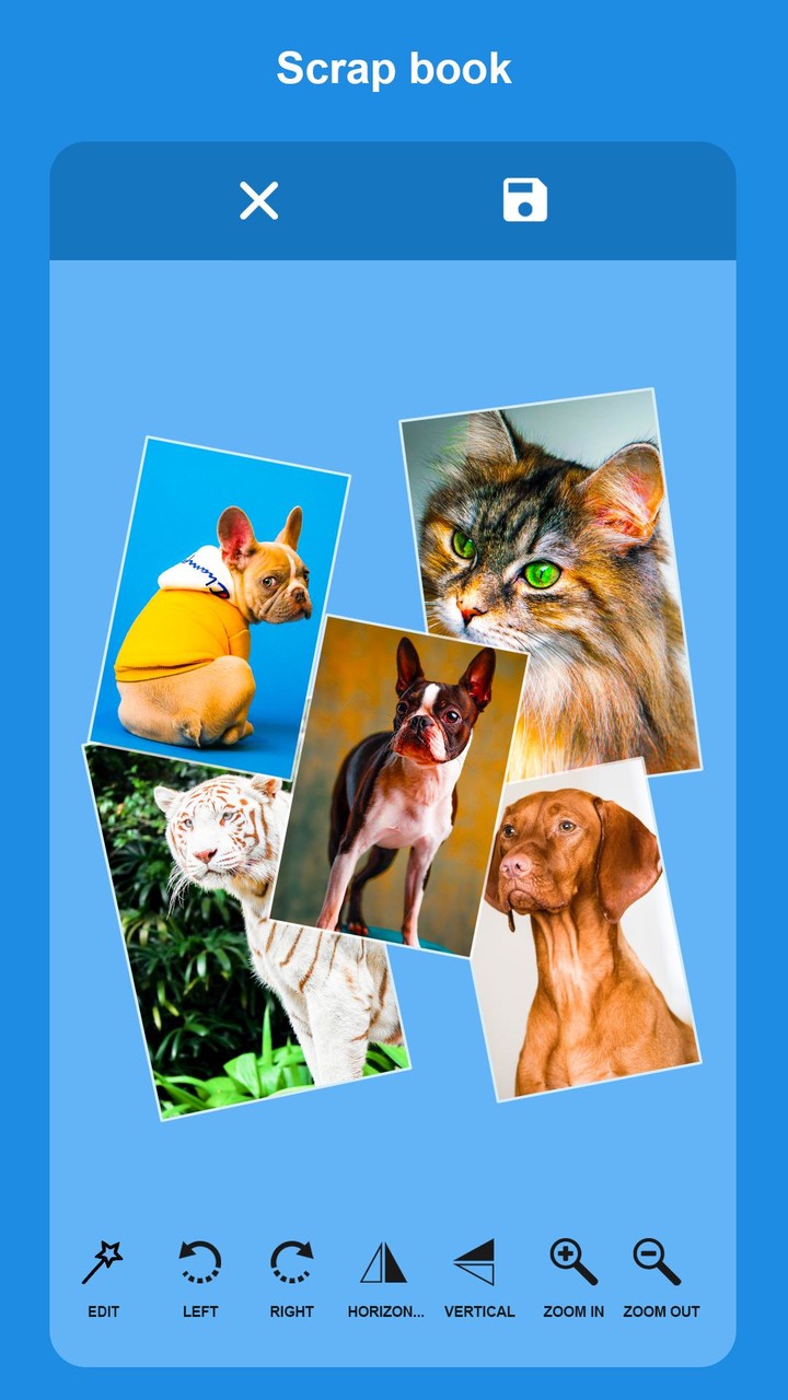 Garden Photo Editor- CB Frames screenshot image 6_Popularmodapk.com