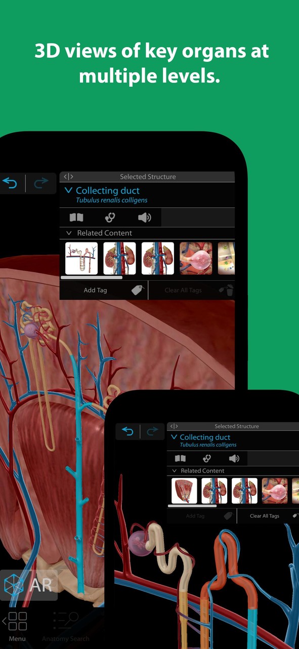 Human Anatomy Atlas 2022＋ screenshot image 2_Popularmodapk.com