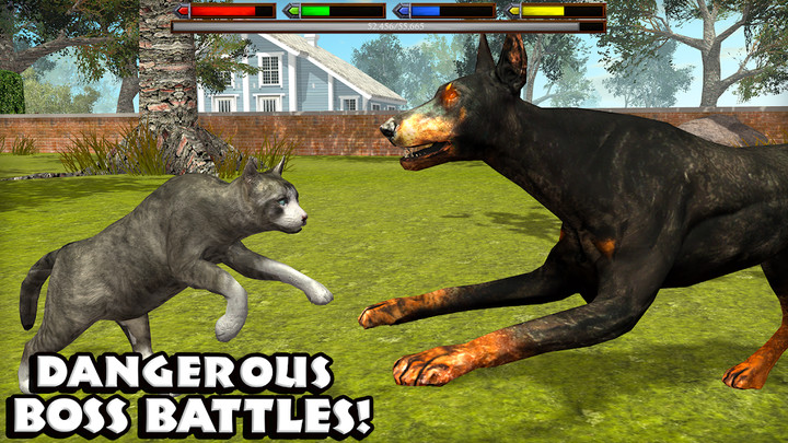 Ultimate Cat Simulator<span>(Unlimited money)</span> screenshot image 5_Popularmodapk.com