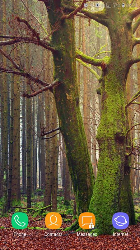 Forest Wallpaper screenshot image 24_Popularmodapk.com