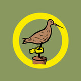 BirdRing3.1.0 2022-03-18_Popularmodapk.com