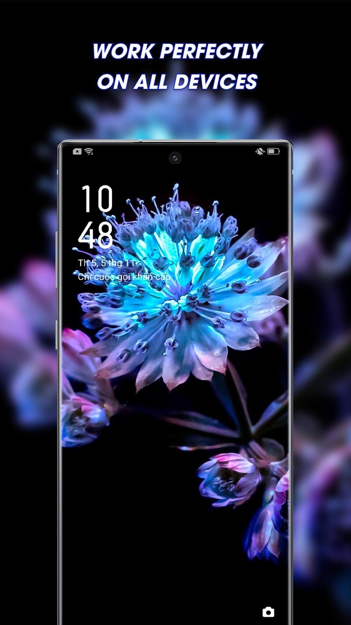 Wallpaper 4K and Backgrounds screenshot image 3_Popularmodapk.com