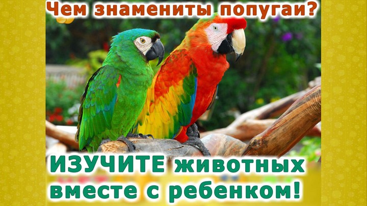 Животные для детей и малышей! screenshot image 3_Popularmodapk.com