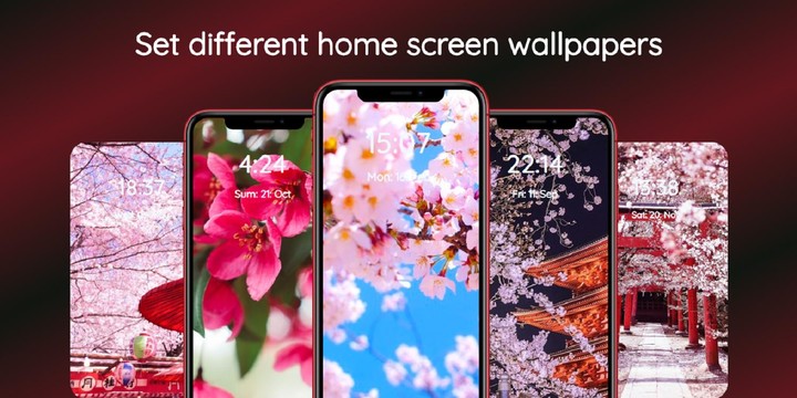 Sakura Wallpaper screenshot image 8_Popularmodapk.com