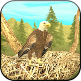 Wild Eagle Sim 3D<span>(Unlimited money)</span>1.0_Popularmodapk.com