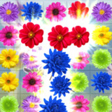 Flower Blast: Garden Matching1.0_Popularmodapk.com