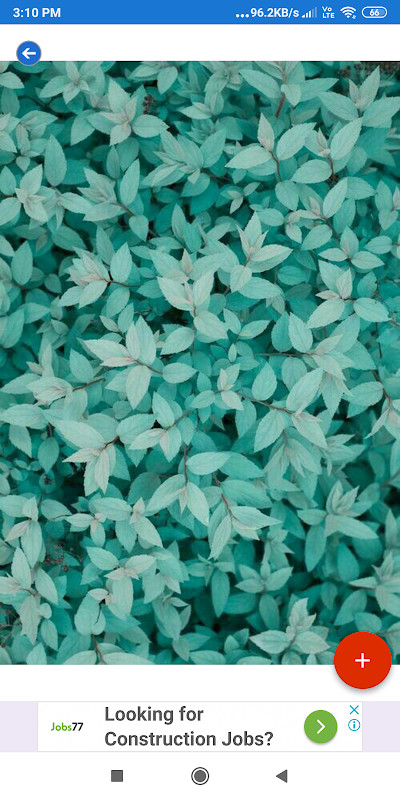 Teal Wallpapers: HD images, Free Pics download screenshot image 16_Popularmodapk.com