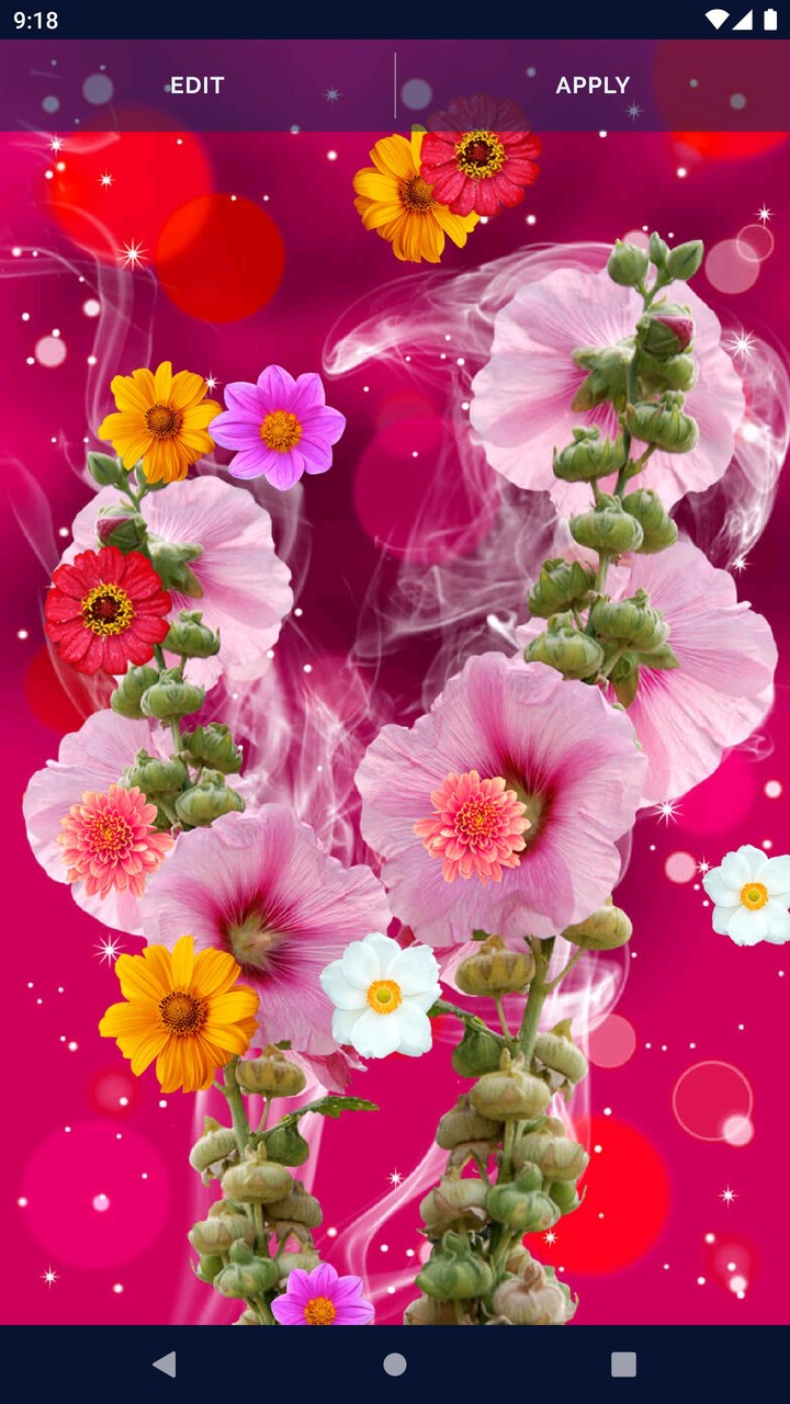 Spring Flowers Live Wallpaper screenshot image 17_Popularmodapk.com