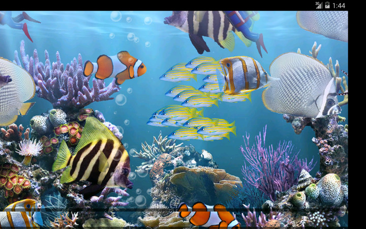 The real aquarium - LWP screenshot image 6_Popularmodapk.com