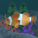 Swim in touch! SeaCreatures1.2_Popularmodapk.com