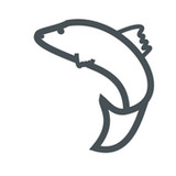 Järvikala1.0.6_Popularmodapk.com