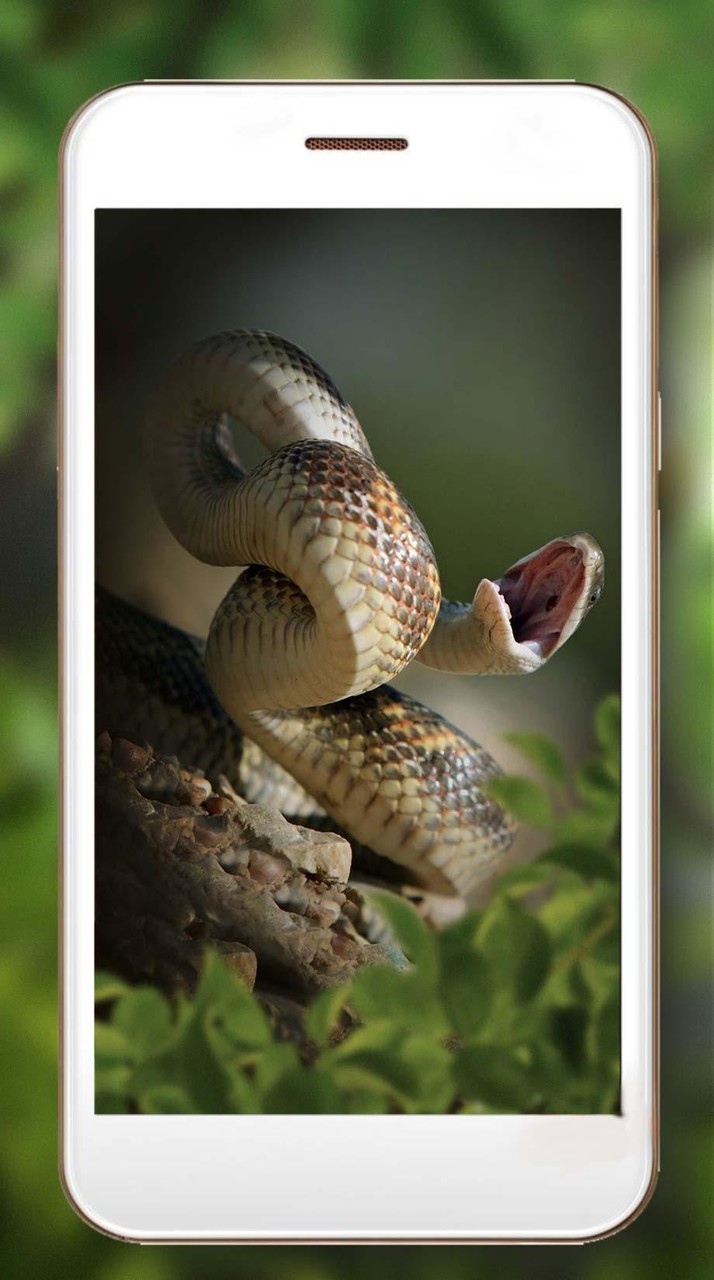 Snakes Jungles HD screenshot image 8_Popularmodapk.com