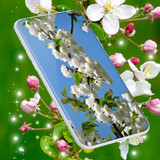 Cherry Blossom Live Wallpaper6.9.9_Popularmodapk.com
