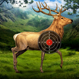 Deer Target Shooting3.0.0_Popularmodapk.com