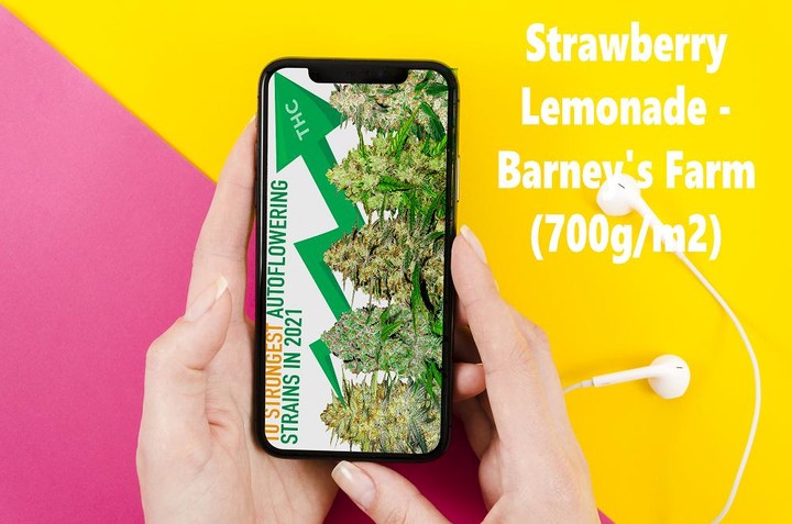 Grow Weed Farm:Cannabis Plants screenshot image 4_Popularmodapk.com