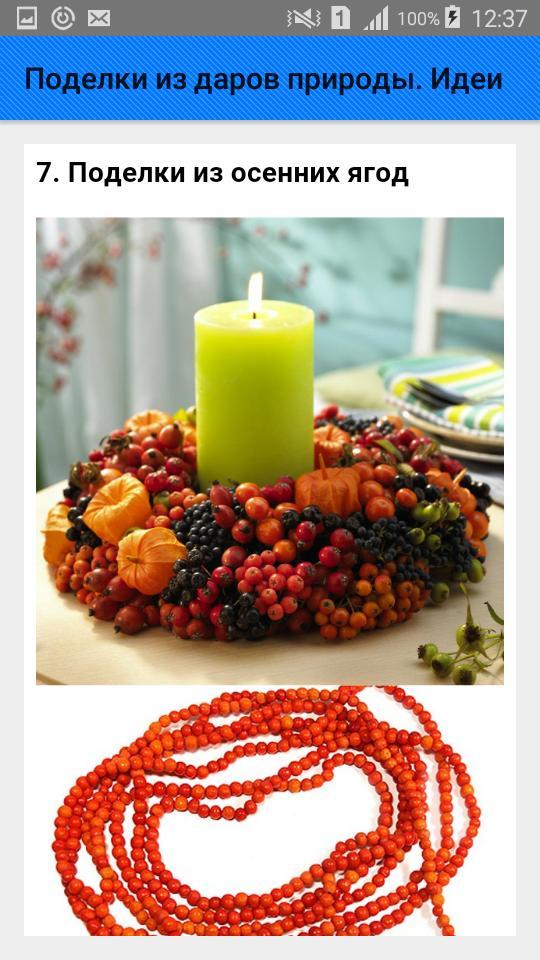 Поделки из даров природы. Идеи screenshot image 8_Popularmodapk.com