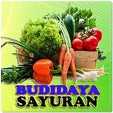 Budidaya Buah dan Sayuran1.5_Popularmodapk.com