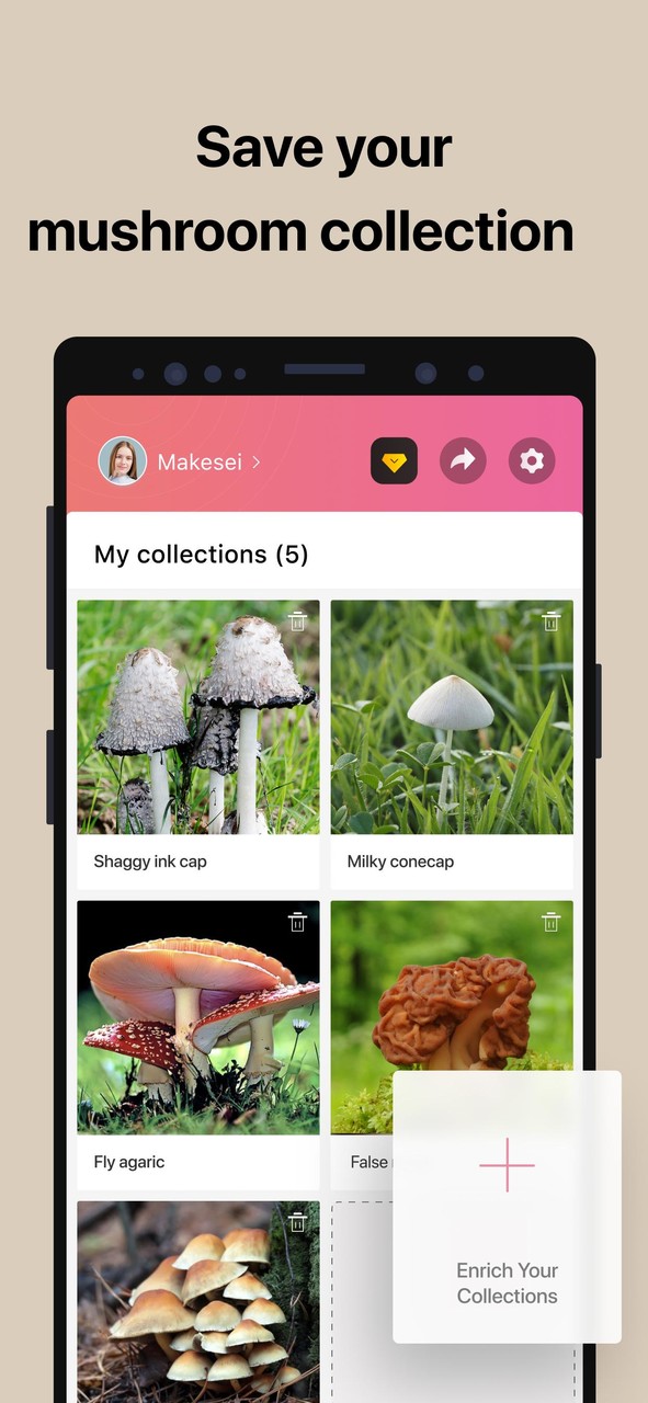 Picture Mushroom - Mushroom ID screenshot image 8_Popularmodapk.com