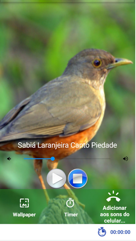 Cantos de Sabiás screenshot image 5_Popularmodapk.com