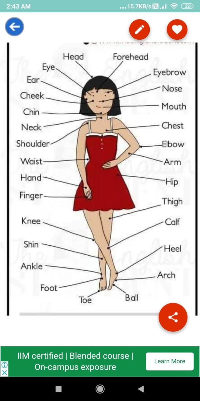 English Vocabulary: Charts, Tables with Images screenshot image 8_Popularmodapk.com