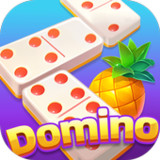 Duole Domino-Gaple QiuQiu Slot1.5.0_Popularmodapk.com