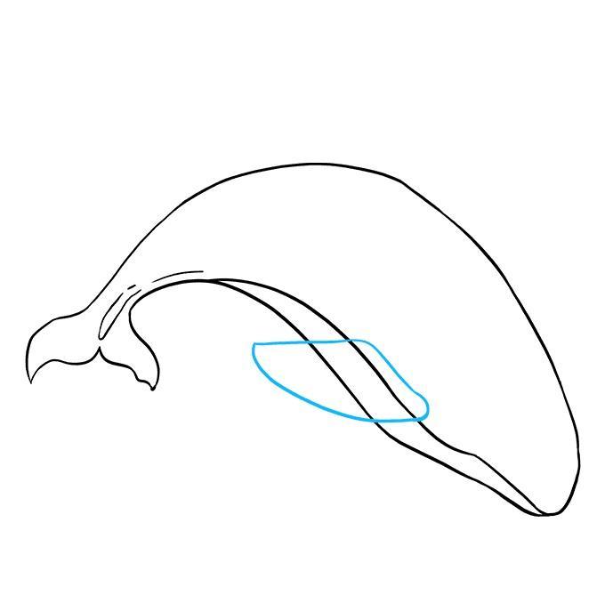 How to draw animals step by st screenshot image 9_Popularmodapk.com