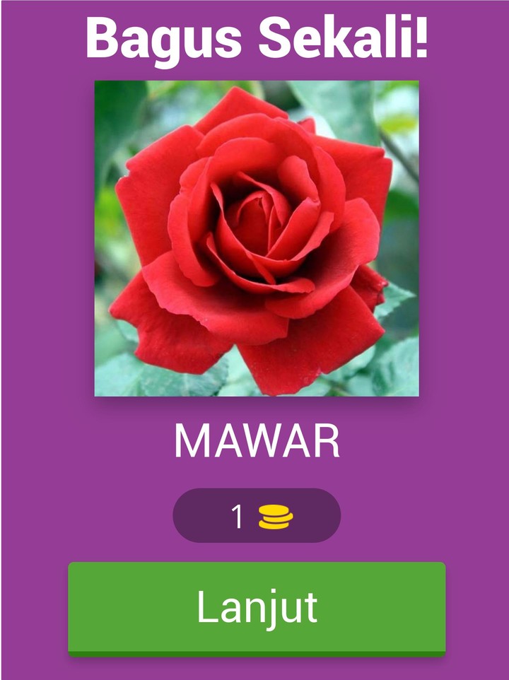 Tebak Gambar Bunga screenshot image 14_Popularmodapk.com