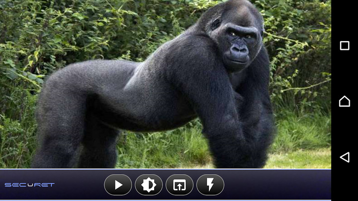 RhythmCam-Heart Rhythm Checker screenshot image 3_Popularmodapk.com