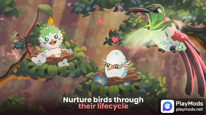 Bird Kind<span>(Unlimited Money)</span> screenshot image 5_Popularmodapk.com